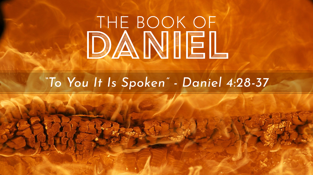 Daniel Week 15 - 720p.png